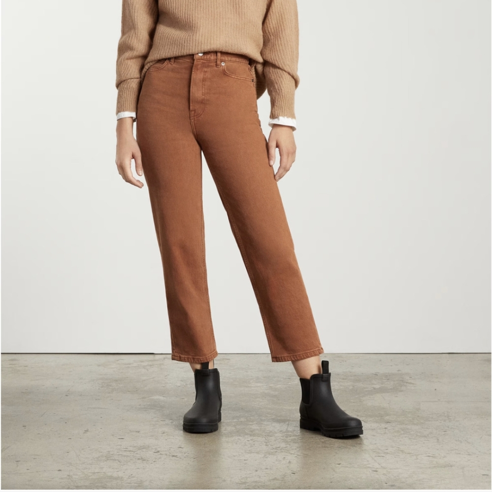 EVERLANE The Way High Rise Jean Archroma Rich Earth Straight Size 29T